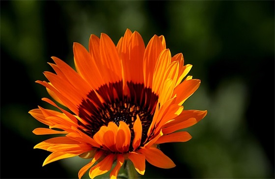 企业成本控制标语119句