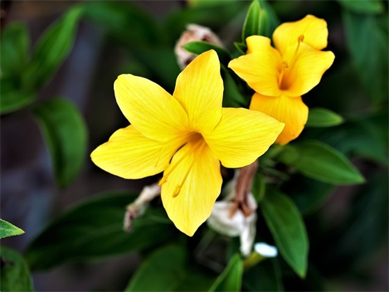 企业成本控制标语119句