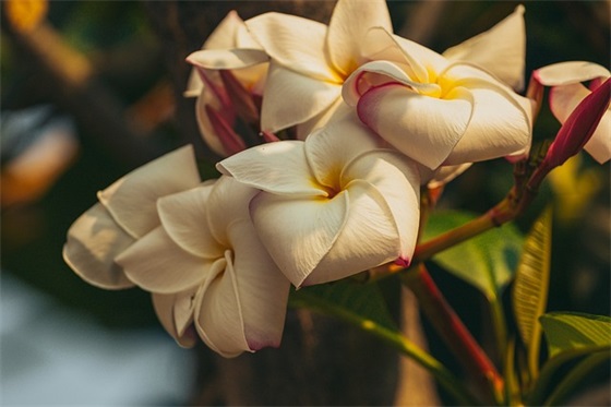 建筑工地安全生产标语114句