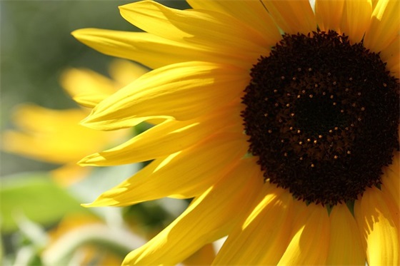 安全知识的标语101句