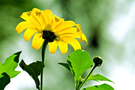 安全知识的标语101句