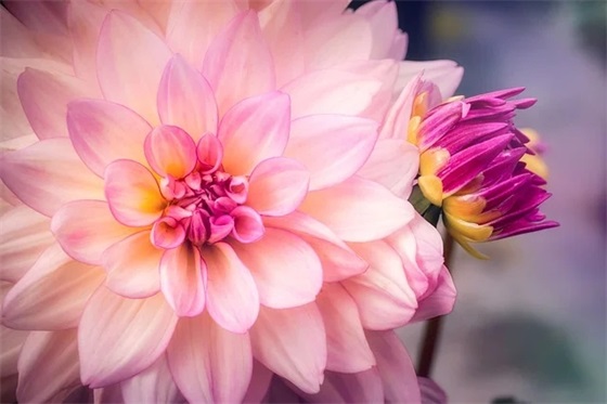 疫情防控简短宣传口号