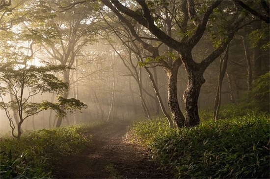 描写雨夜忧伤的句子