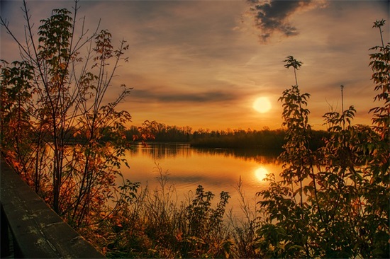 关于四季风景的句子