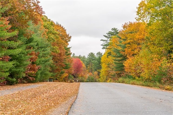关于夕阳正能量的句子