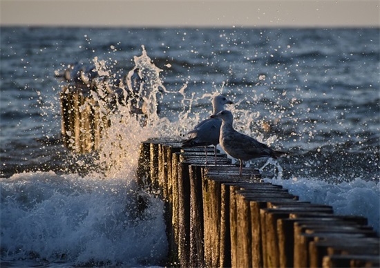 换个发型换种心情句子 换个发型换种心情