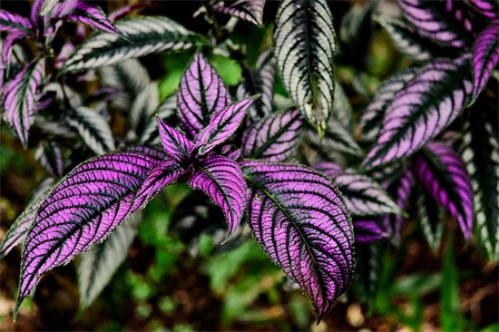 开导一个压力大的男人的句子