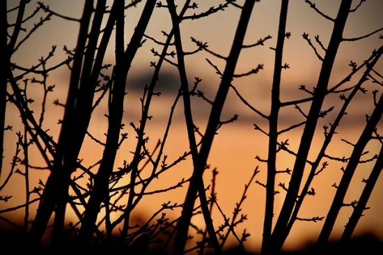 2026好朋友的结婚祝福语