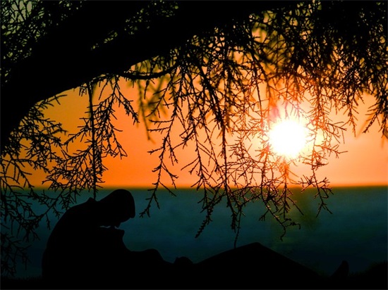 每天早晨让人开心的暖心祝福文案