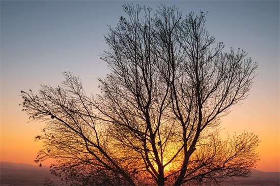 老人生日的祝福语简短的
