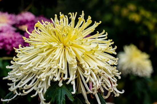 温柔很仙的宝藏句子 温柔到爆的神仙句子