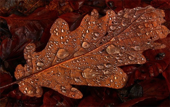 学生超励志的神仙句子