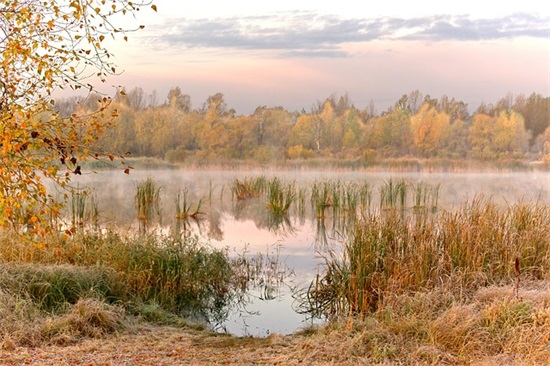 晨起正能量句子 激励上进正能量句子