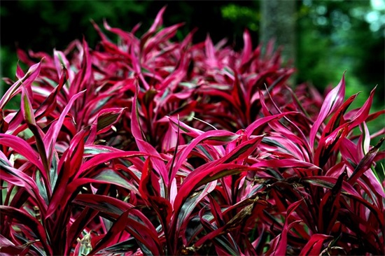 夸别人视频很好的评语 赞美视频做得好的句子