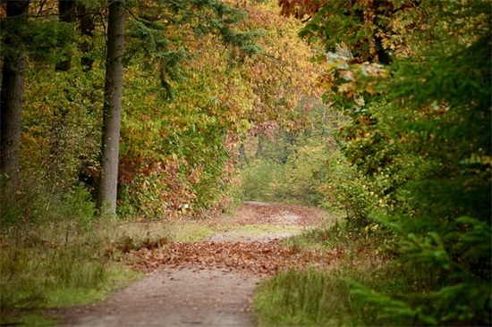 祝贺升职的祝福语 祝贺校长升职的祝福语