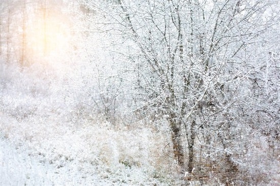 闺蜜生日搞笑祝福语 闺蜜生日搞笑祝福语简短