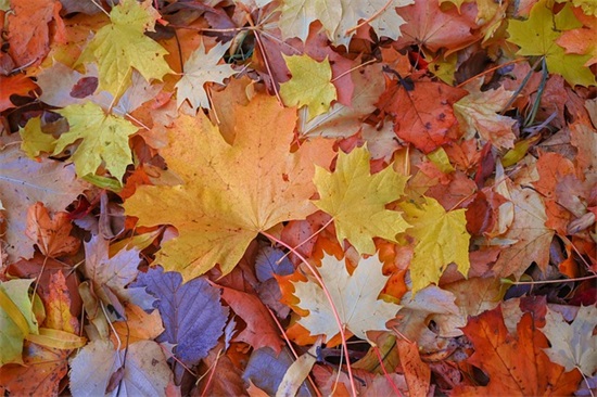 六一儿童节的祝福语录