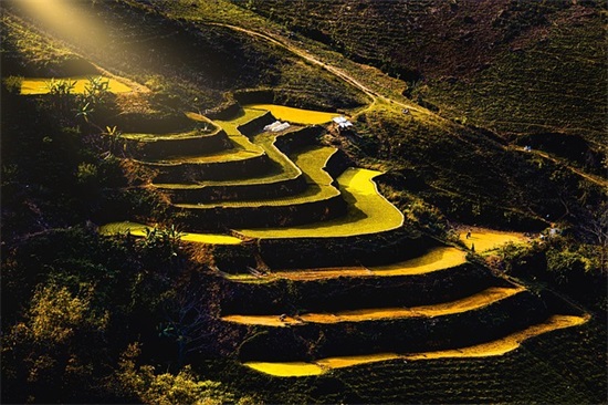 2026年运动会霸气标语