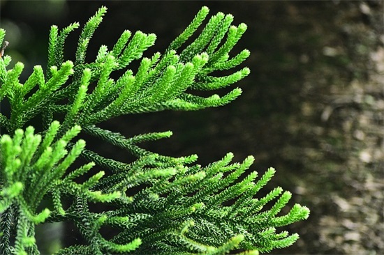 高考上进励志条幅标语 高考条幅标语大全8字