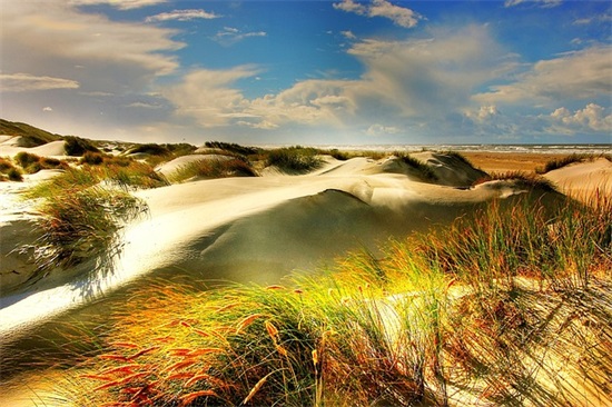 霸气的校友会口号47句