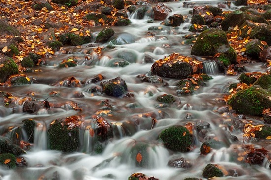 比赛口号霸气 比赛口号简短霸气