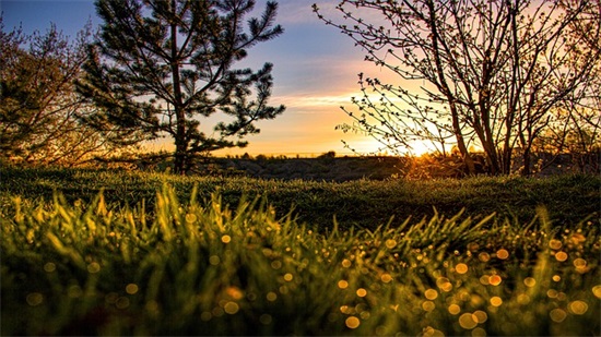 班级4字标语口号87句