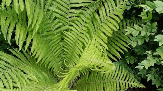 2026最新国庆节商场促销活动口号喜迎国庆70周年商场促销标