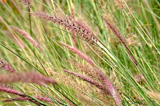 八年级班级运动会口号80句