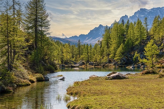 极度伤心的英语短句子
