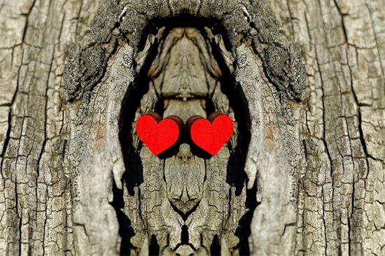 情话的句子 情话的句子简短