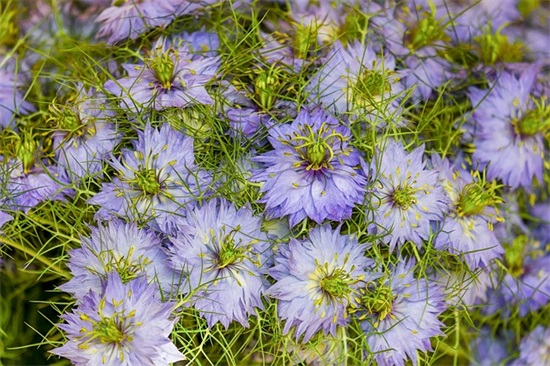 关于等不到晚安的句子 等不到晚安失落的句子