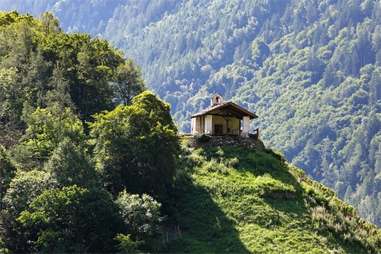 运动会入场口号有创意 运动会入场式口号