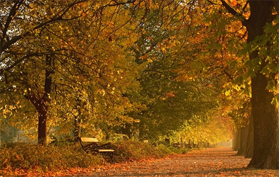 农村计划生育宣传标语(计划生育3胎横幅宣传标语)