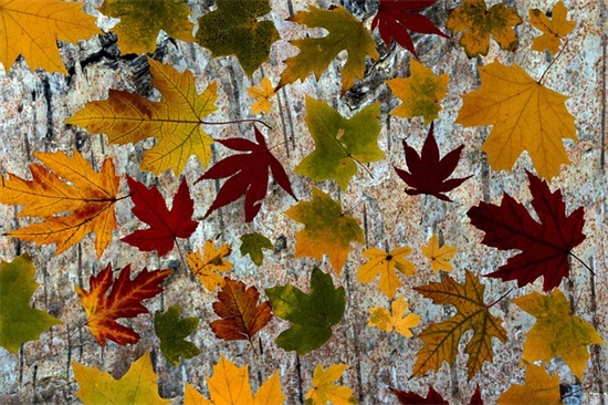 春游的口号 春游口号