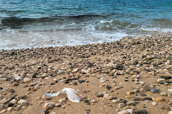 16字早操口号霸气押韵36句