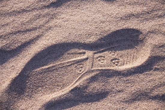 口号大全14字押韵响亮83句