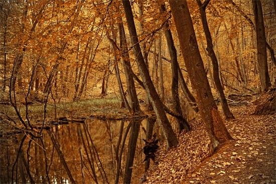 小宝宝生日祝福语说说 小宝宝的生日祝福语
