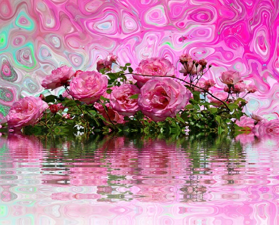 2026鼠年新春给父母的祝福短信 鼠年春节给家人的祝福语