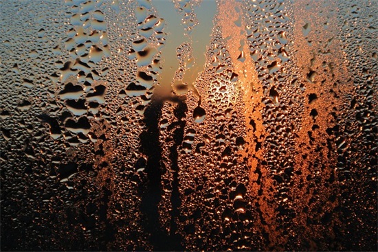 祝福新婚的祝福语