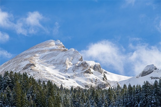 创建和谐校园的宣传标语(和谐校园文明你我的宣传标语)