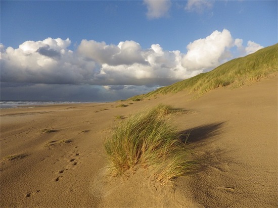 优质均衡发展宣传标语