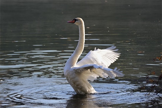 弘扬民族精神标语 弘扬民族精神标语摘抄
