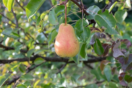 法律援助宣传口号33句