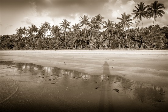 励志家庭妇女句子大全(家庭励志的句子致自己简短)