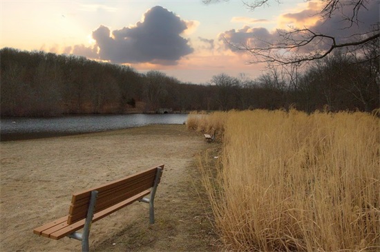 形容大自然的绿色美景句子