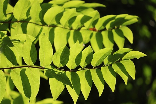 能激励自己的正能量句子大全