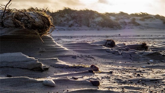 生日是母亲苦难日句子