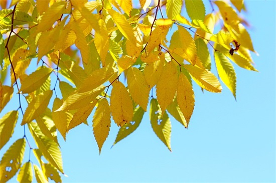 很美的句子读到心碎 很美的句子短句