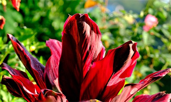 描写人心痛落泪的句子 描写伤心落泪的句子