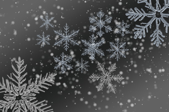 早安语录图片和句子(销售早安语录适合发朋友圈早安的句子)